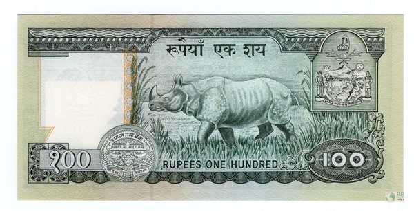 Nepal Pick 34g - 100 Rupees (1)
